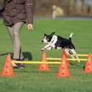 Trixie Dog Activity překážky 3 ks 23 x 30 cm/78 cm oranž/