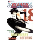 Bleach 18