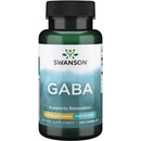 Doplňky stravy Swanson GABA Kyselina Gama Aminomáselná 500 mg 100 kapslí