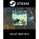 Naval Warfare