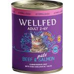 PETINTEREST Wellfed Sterilised Adult Beef and Salmon with Salmon oil (12 months - 7 years) консерва за кастрирани котки с говеждо и сьомга 800gr