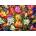 Enjoy - Puzzle Abstract Stained Glass Flower Garden - 1 000 piese