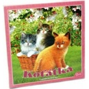 Mikro trading Koťátka