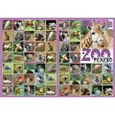 Teddies Pexeso ZOO II