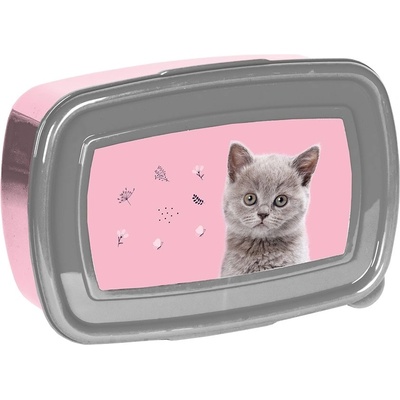 PASO - Кутия за храна CAT