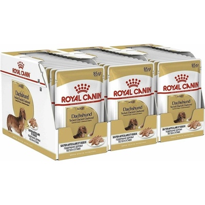 Royal Canin Dog Dachshund in Loaf 36 x 85 g