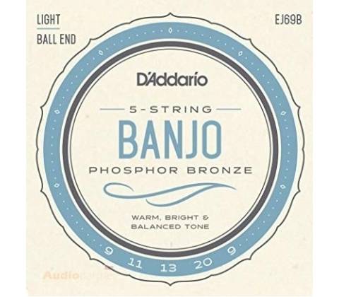 D'Addario EJ69B
