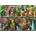 Ravensburger - Puzzle Cats on the shelf - 500 piese