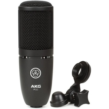 AKG P120