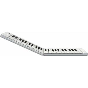 Carry-on Folding Piano 49 Touch