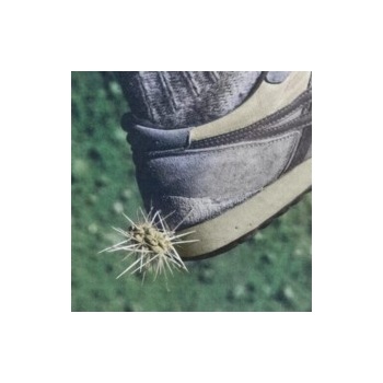 Tread - Ross From Friends CD