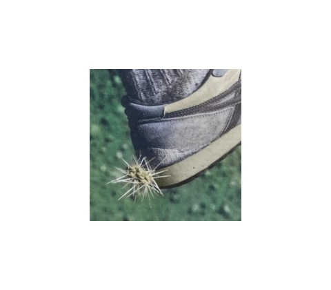 Tread - Ross From Friends CD