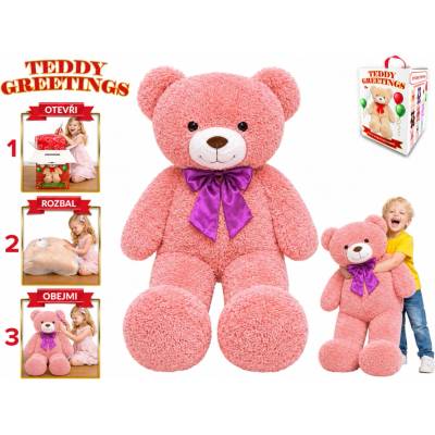 Mikro trading Teddy Greetings 120 cm ružový