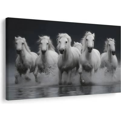 Obraz bílí koně v pohybu - 40x30