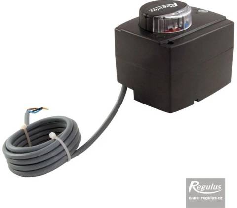 Regulus Pohon 10875