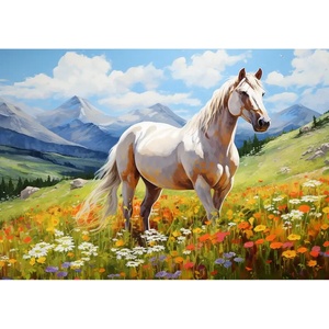  Картина за рисуване по номера 40 х 50 см. r7127