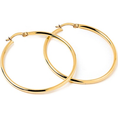 iZlato Forever zlaté náušnice kruhy IZ22409