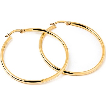 iZlato Forever zlaté náušnice kruhy IZ22409