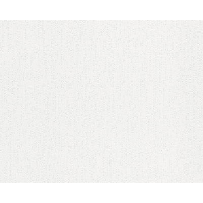 A.S. Création 241511 přetíratelné tapety na zeď Meistervlies Protect 4 rozměry 0,53 x 10,05 m