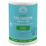 Mattisson Healthstyle Говежди колаген Solugel, 300 g Mattisson Healthstyle (MT3016)