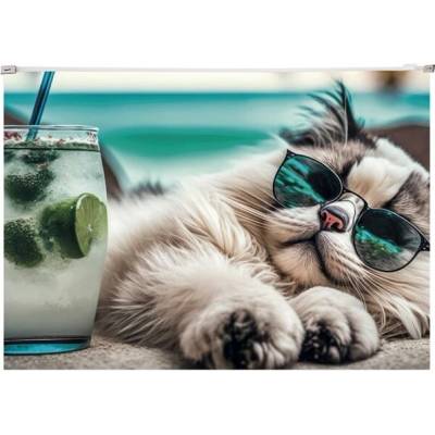 PANTA PLAST Obal na zips A4 "Chillout cat"