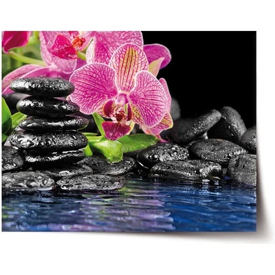 Sablio Plagát Orchidea na kameňoch - 60x40 cm