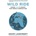 Wild Ride - Adam Lashinsky