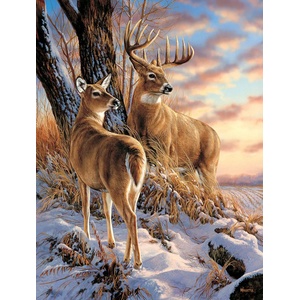 SunsOut - Puzzle Escapade 500XXL - 500 piese