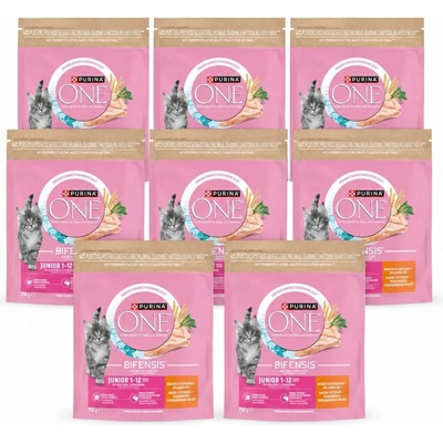 Purina ONE Bifensis Junior kura 8 x 750 g