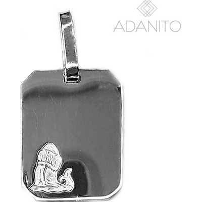 Adanito RIM5066R Vodnar Strieborný prívesok mesačné znamenie