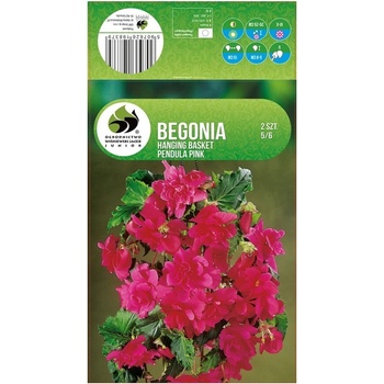 Seklos Бегония Розова Каскадна Begonia L - 2 бр грудки