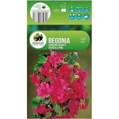 Seklos Бегония Розова Каскадна Begonia L - 2 бр грудки