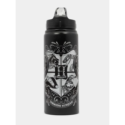 Alltoys Harry Potter 710 ml