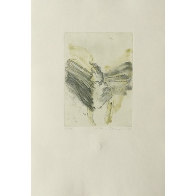 Adriena Šimotová: Osmý sen (Rilke)
