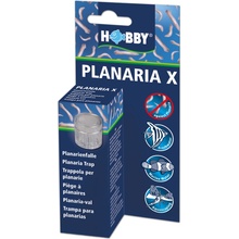 Hobby Planaria X