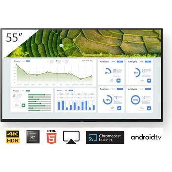 Sony Bravia FW-55BZ30L