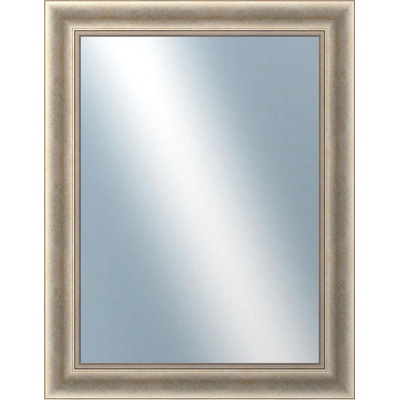DANTIK Křídlo 70x90 cm stříbrné 2773