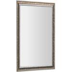 SAPHO - Огледало „Ambiente в рамка, 62x102 см, бронзова патина NL701 (NL701)