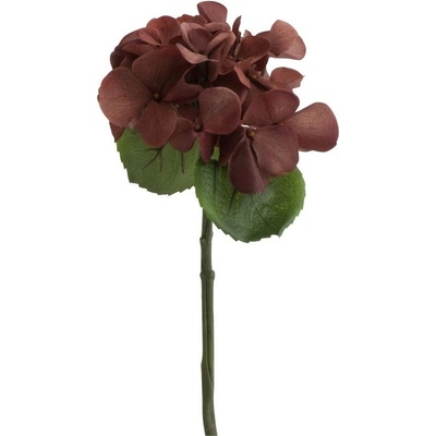 Hnedá dekoračné kvetina Hortenzia - 12 * 32 cm - J-Line by Jolipa