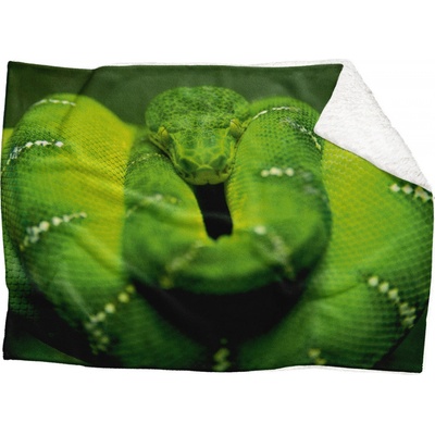 Impar fleece deka Zelený had Podšití beránkem ANO 150x120