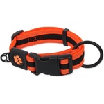 Active Dog Активно кучешко нашийник Fluffy M оранжев 2, 5x33-48см (0904-91748)