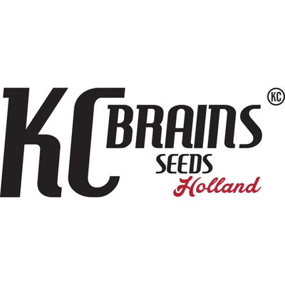 KC Brains Seeds K.C. 36 regular semena neobsahují THC 5 ks