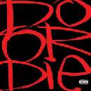 Do Or Die - Picture This LP