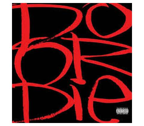 Do Or Die - Picture This LP