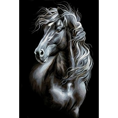 Norimpex diamantové maľovanie Čiernobiely kôň kresba 30 x 40cm