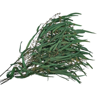 Sušené eukalyptové listy Willow 100g s plodmi - tmavozelené