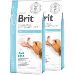 Brit Veterinary Diets GF dog Obesity 2 x 12 кг
