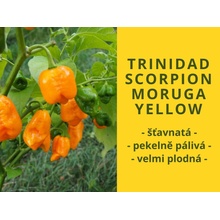 CHILLIMAT Chilli sazenice Trinidad Scorpion Moruga Yellow 1 ks
