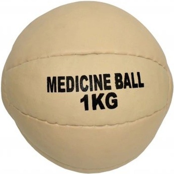 Pro's Pro Medizinball Leder 1 kg