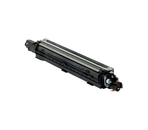 Ricoh D1863082 - originální